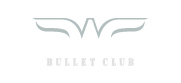 Winners Bullet Club | Responsive web design | Branding | Strategy | SEO by UILOCATE